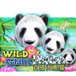 pawin88 JK slot Wild Giant Panda