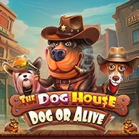 pawin88 PP slot The Dog House – Dog or Alive